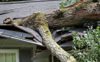 How to Prevent Future Storm Damage to Your Home’s Exterior